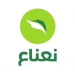 شركة نعناع لخدمات شراء وتوصيل المقاضي